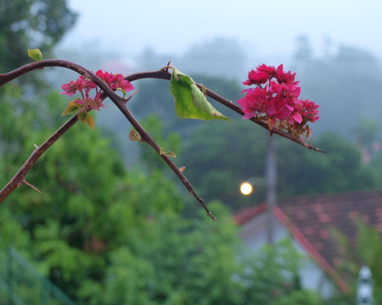Namal Stay Weligama Esterno foto